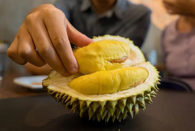 榴莲真的是水果之王吗？揭开一段榴莲在欧洲的“炒作”史(图39)