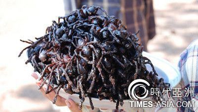 西方人眼中亚洲黑暗料理 油炸蜻蜓水果蝙蝠汤上榜(图10)