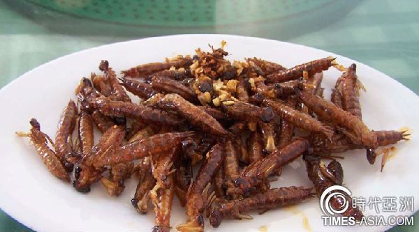 西方人眼中亚洲黑暗料理 油炸蜻蜓水果蝙蝠汤上榜(图3)