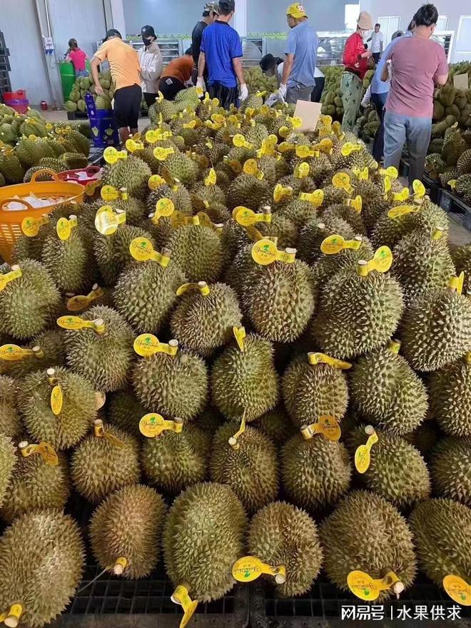 普通人如何寻找水果进货渠道？