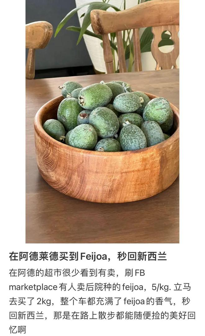“在新西兰吃不完在中国吃不起！”这种水果让新西兰人上头(图3)