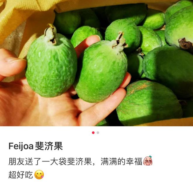 “在新西兰吃不完在中国吃不起！”这种水果让新西兰人上头