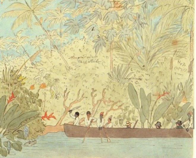 “在新西兰吃不完在中国吃不起！”这种水果让新西兰人上头(图12)