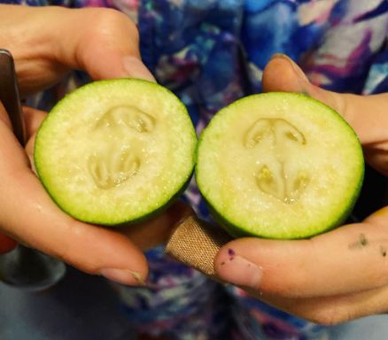 “在新西兰吃不完在中国吃不起！”这种水果让新西兰人上头(图14)