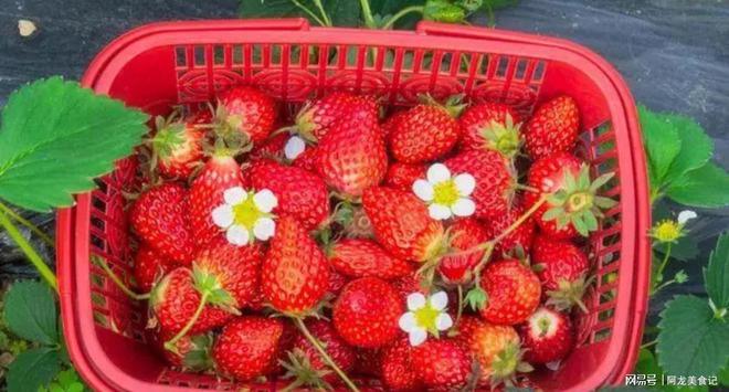 春季提醒：这5种“催熟”水果要少买激素多不好吃馋也要忍(图2)