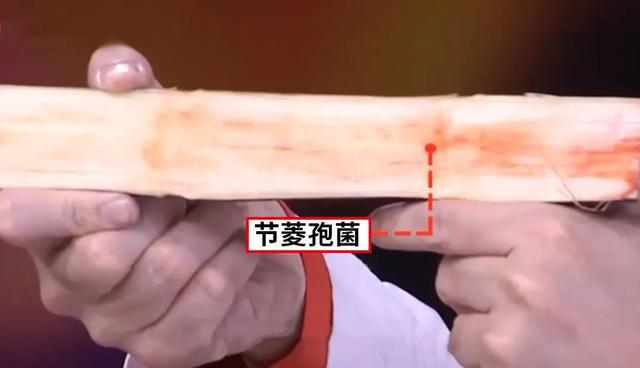 马上停止吃这“红色水果”！一崩血糖、二毁肝脏、三“激活”大病！别因贪嘴后悔(图8)