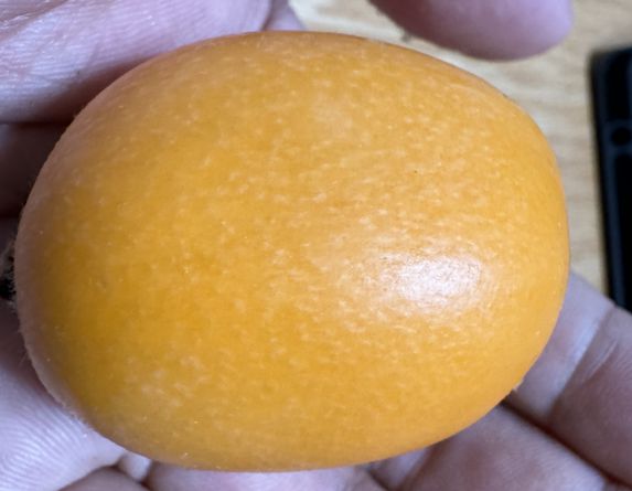 水果界新宠！川滇高原“蓝胖子”九分甜一分酸颗颗爆浆；攀枝花米易“黄金果”新鲜下树清爽润喉(图8)