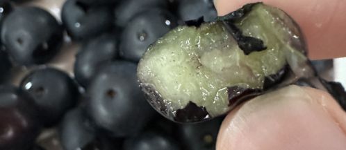 水果界新宠！川滇高原“蓝胖子”九分甜一分酸颗颗爆浆；攀枝花米易“黄金果”新鲜下树清爽润喉(图5)