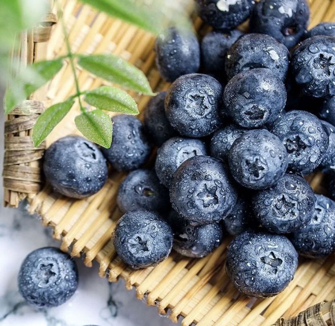 水果界新宠！川滇高原“蓝胖子”九分甜一分酸颗颗爆浆；攀枝花米