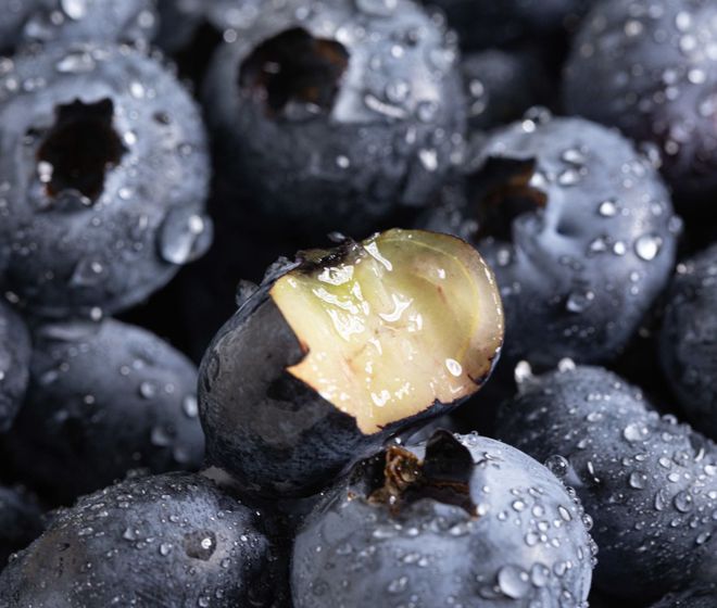 水果界新宠！川滇高原“蓝胖子”九分甜一分酸颗颗爆浆；攀枝花米易“黄金果”新鲜下树清爽润喉(图2)