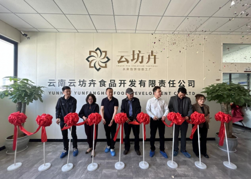 云南云坊卉水果馅饼创意工厂开业