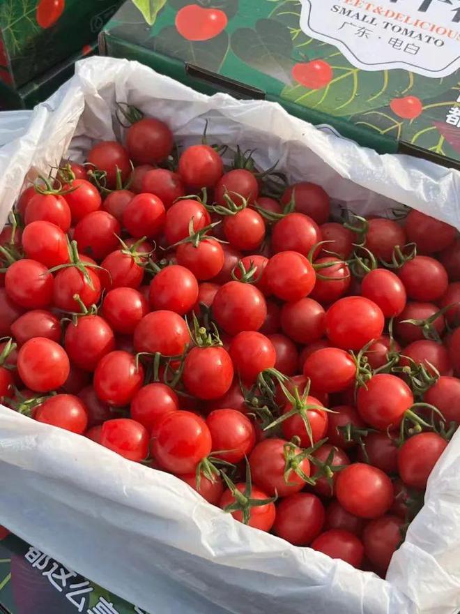 【清爽无比】库存不多！这次的水果小黄瓜99元箱(图3)