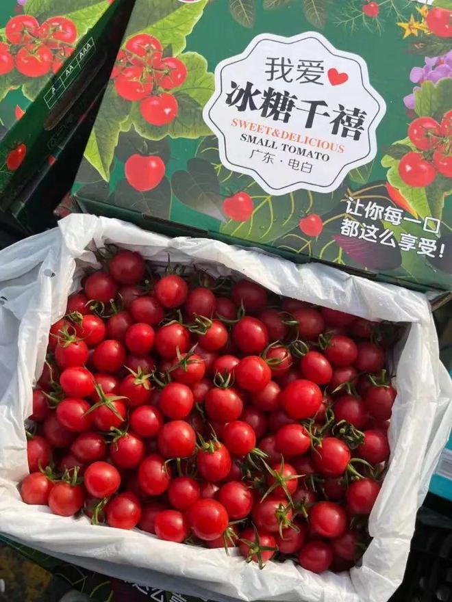 【清爽无比】库存不多！这次的水果小黄瓜99元箱(图5)