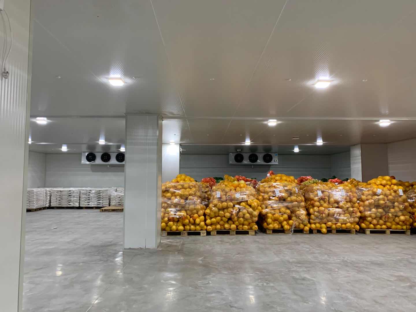 建造一个水果保鲜冷库需要注意什么(图2)