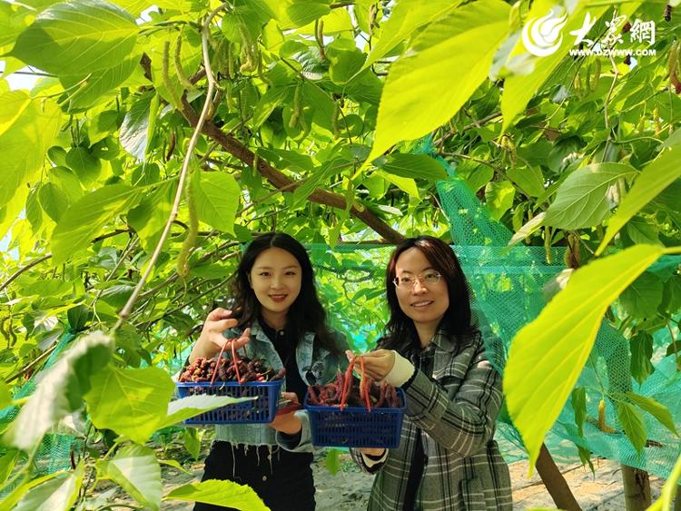 胶州市：打卡“绿村” 品热带水果 赏萌宠动物