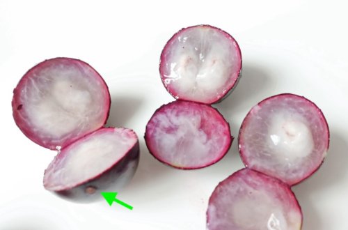 这些人工合成水果又出来骗人了 高价“新奇果”实为冒牌货(图4)