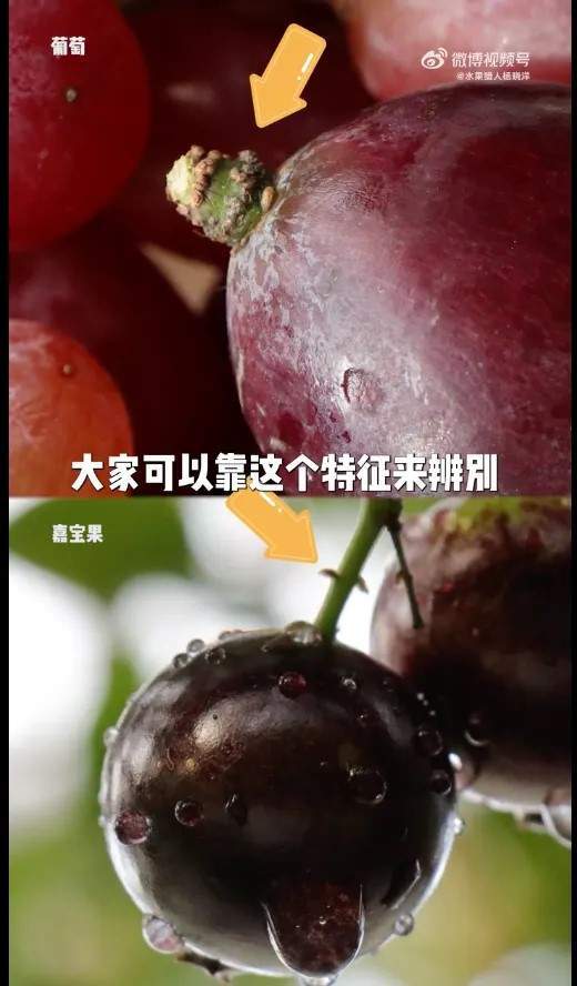 五一假期将近旅游景点小心这些天价“假水果”陷阱！(图8)