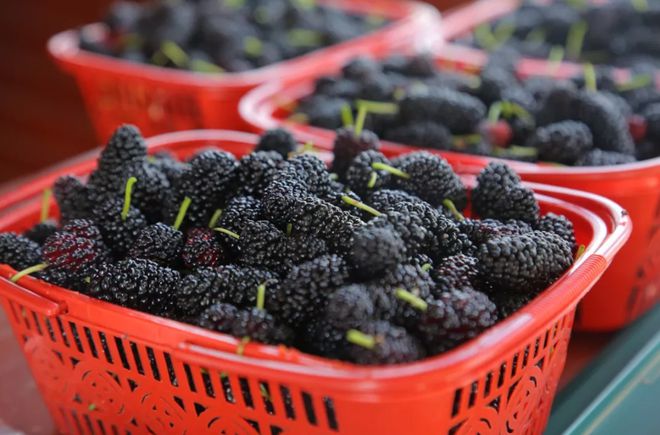 五一将至这5种“碱性水果”别错过营养高味道甜现在正当季(图9)