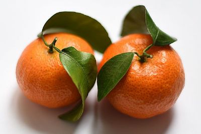 沙糖桔 - 长沙特产 - 特产通