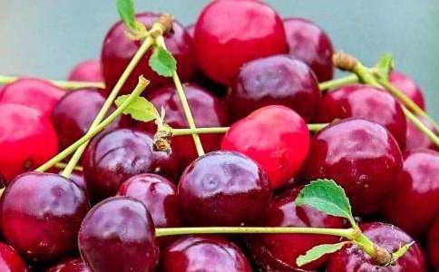 新鲜水果如何挑选开云中国