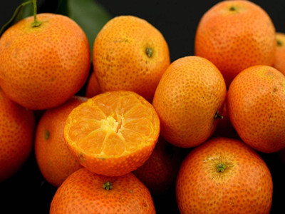 沙糖桔成致富开云中国果（图）(图2)