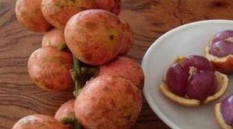 这种水果在南方整棵树都是几近烂大街了北方人却表示买不起！(图3)