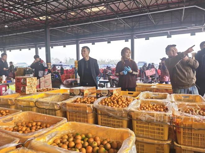 2024年春节柳州“开云中国kaiyun菜篮子”“果盘子”供应充足(图3)