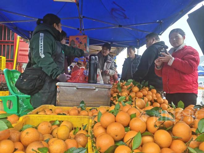 2024年春节柳州“开云中国kaiyun菜篮子”“果盘子”供应充足(图4)