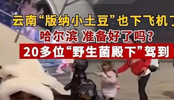 广西叫砂糖橘云南是野生菌那么其他地区呢？评论区直接吵疯