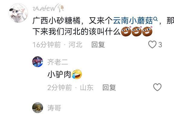 广西叫砂糖橘云南是野生菌那么其他地区呢？评论区直接吵疯(图5)