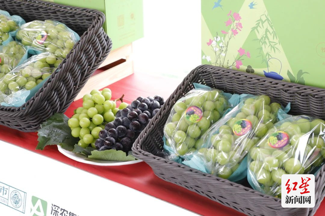 kaiyun开云网站新十二月市·深农 五月“阳光玫瑰市”甜蜜