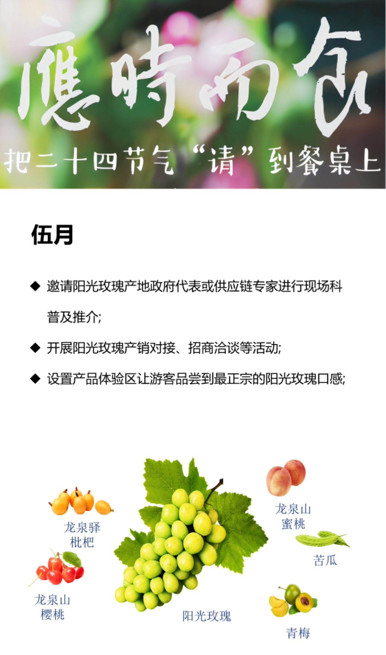 kaiyun开云网站新十二月市·深农 五月“阳光玫瑰市”甜蜜“接力”(图2)