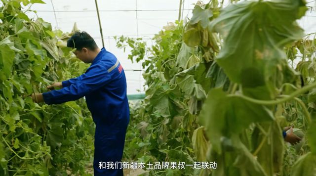 kaiyun体育官方网站运营九年这款游戏还是一骑绝尘的强(图6)