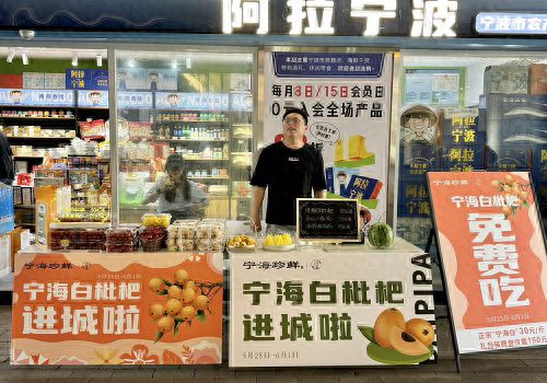 “宁海珍鲜”携kaiyun体育官方网站宁海白枇杷等应季瓜果走