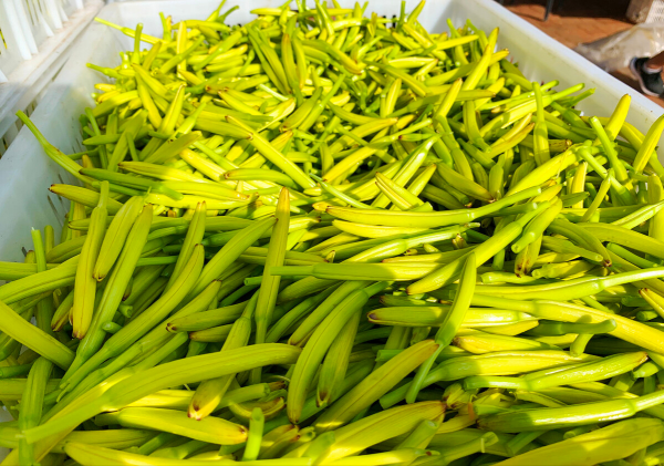 中国癌症高发“帮凶”竟在吃的食物中？医生：三个方法避开危险！kaiyun开云官网(图2)