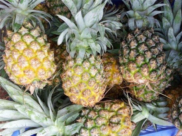 kaiyun体育官方网站4月新鲜上市的水果有哪些 四月份时令