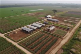 我国水果种植面积持续增长 2024水果产业现状调研分析kaiyun官网开云(图5)