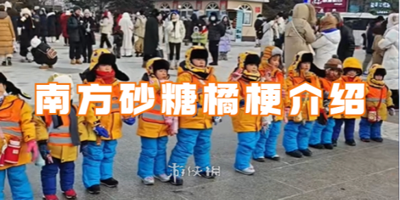 kaiyun开云网站南方砂糖橘什么梗