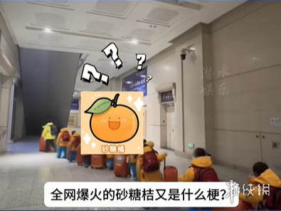 kaiyun开云网站南方砂糖橘什么梗(图2)