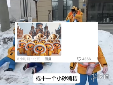 kaiyun开云网站南方砂糖橘什么梗(图3)