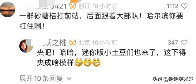 好可爱南方迷kaiyun开云网站你小土豆哈尔滨研学评论区喊沙