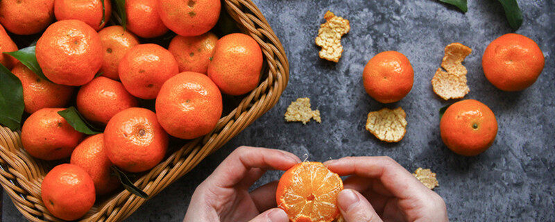 kaiyun登录入口登录沙糖桔是杂交品种吗