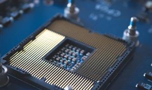 开云kaiyun官方网站2024年新鲜果蔬行业市场发展现状及未来发展前景趋势分析(图3)