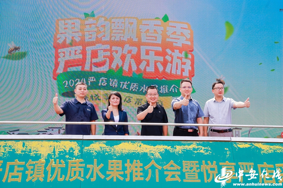 开云kaiyun官网农文旅融合发展 严店镇做足“小水果”里的