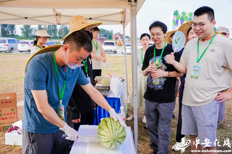 开云kaiyun官网农文旅融合发展 严店镇做足“小水果”里的“大文章”(图2)