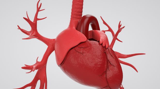 高血压能吃橘子吗？提醒：除了橘子这些水果高血压患者也别多吃开云kaiyun官网(图7)