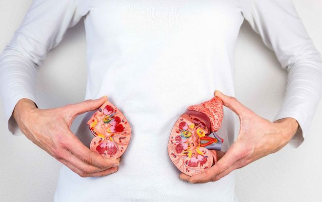 高血压能吃橘子吗？提醒：除了橘子这些水果高血压患者也别多吃开云kaiyun官网(图9)