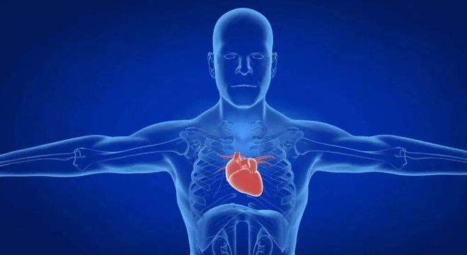 高血压能吃橘子吗？提醒：除了橘子这些水果高血压患者也别多吃开云kaiyun官网(图14)