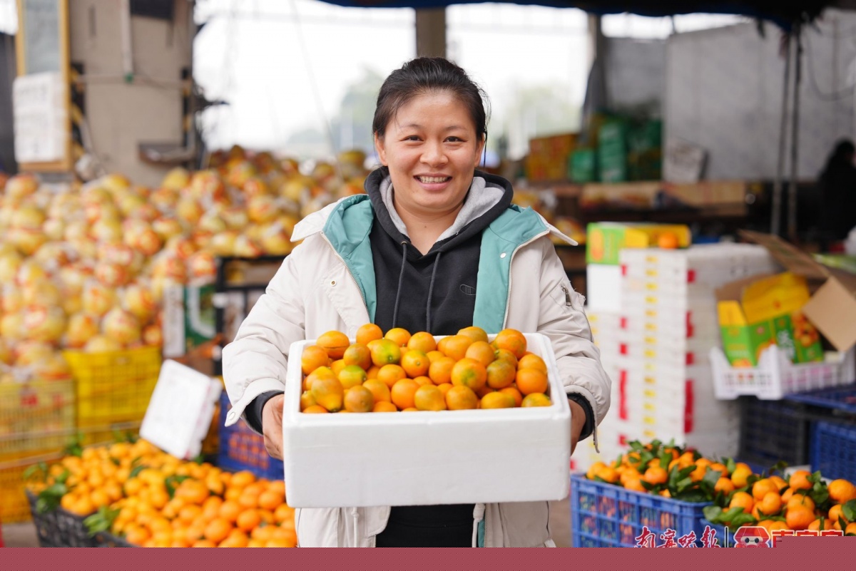 开云kaiyun官方网站皇帝柑、沃柑、砂糖橘、金桔你分得清吗？(图2)