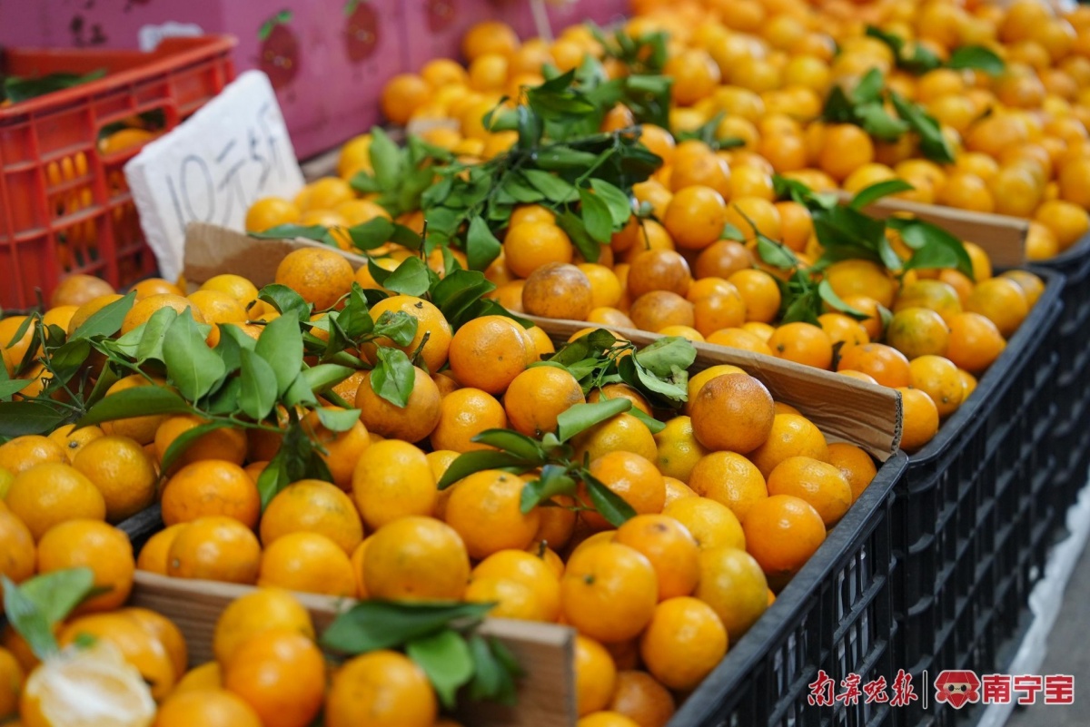 开云kaiyun官方网站皇帝柑、沃柑、砂糖橘、金桔你分得清吗？(图4)
